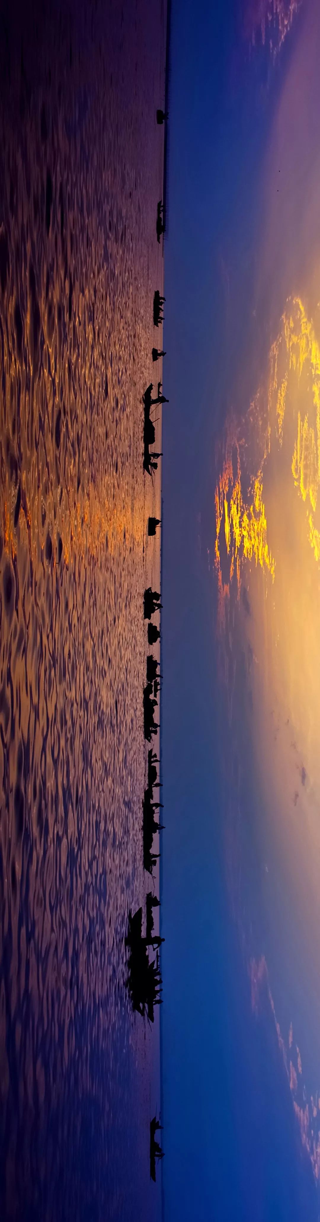 【大美荆州】洪湖，不仅有浪打浪，还有湿地风光和湖鲜全宴！