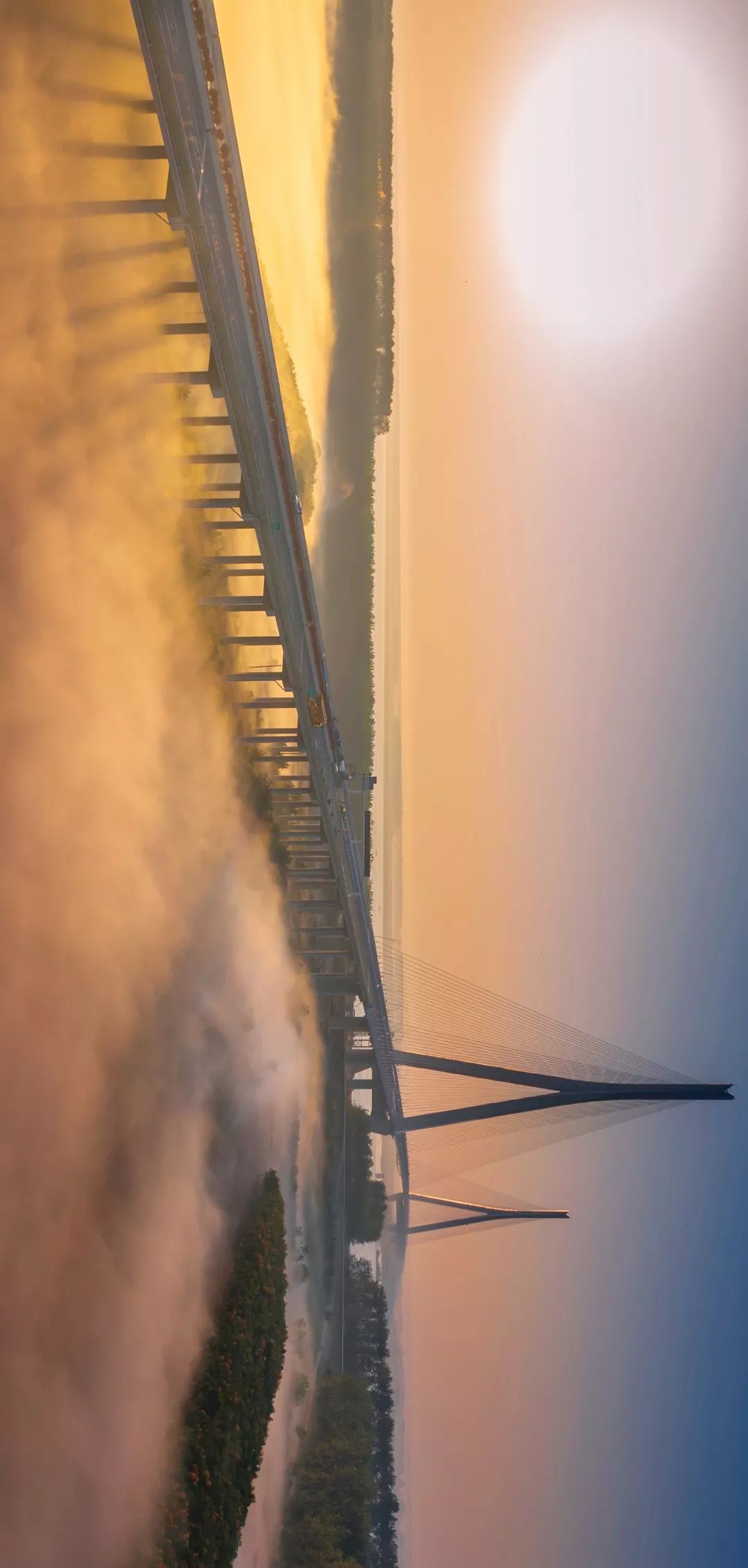 【大美荆州】洪湖，不仅有浪打浪，还有湿地风光和湖鲜全宴！