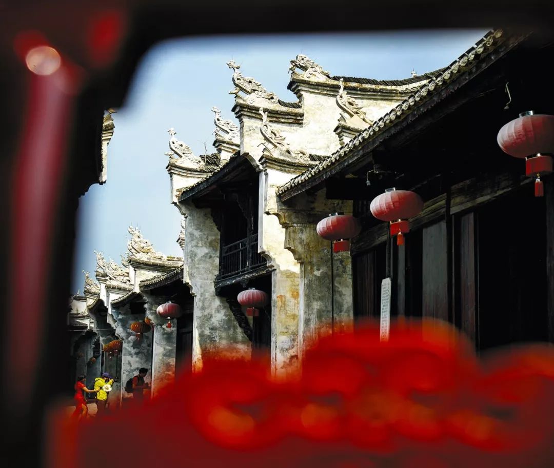 【大美荆州】洪湖，不仅有浪打浪，还有湿地风光和湖鲜全宴！