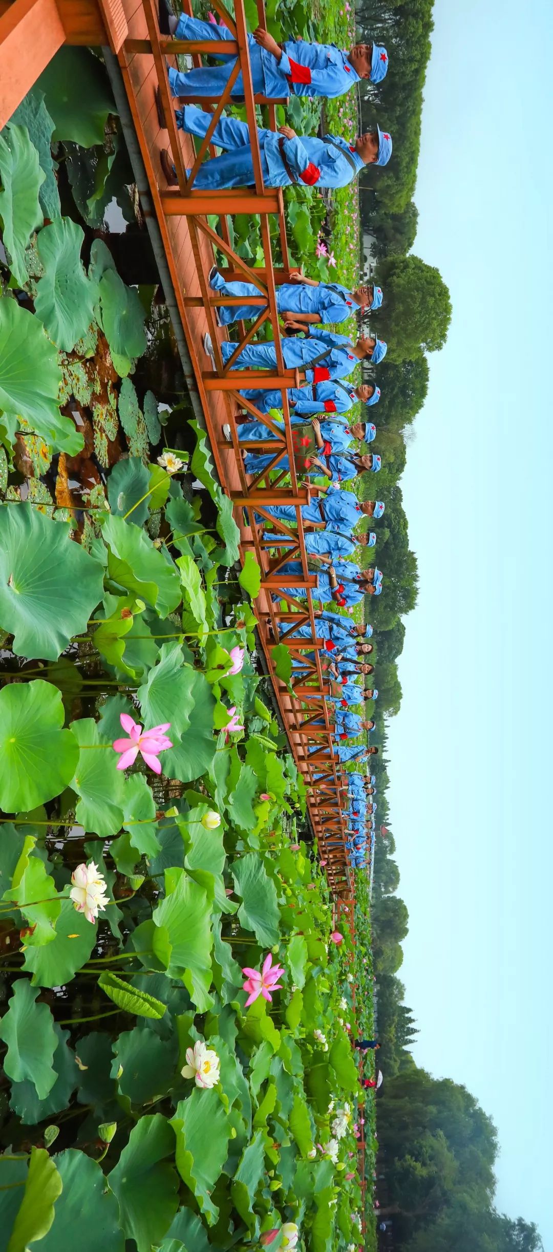 【大美荆州】洪湖，不仅有浪打浪，还有湿地风光和湖鲜全宴！