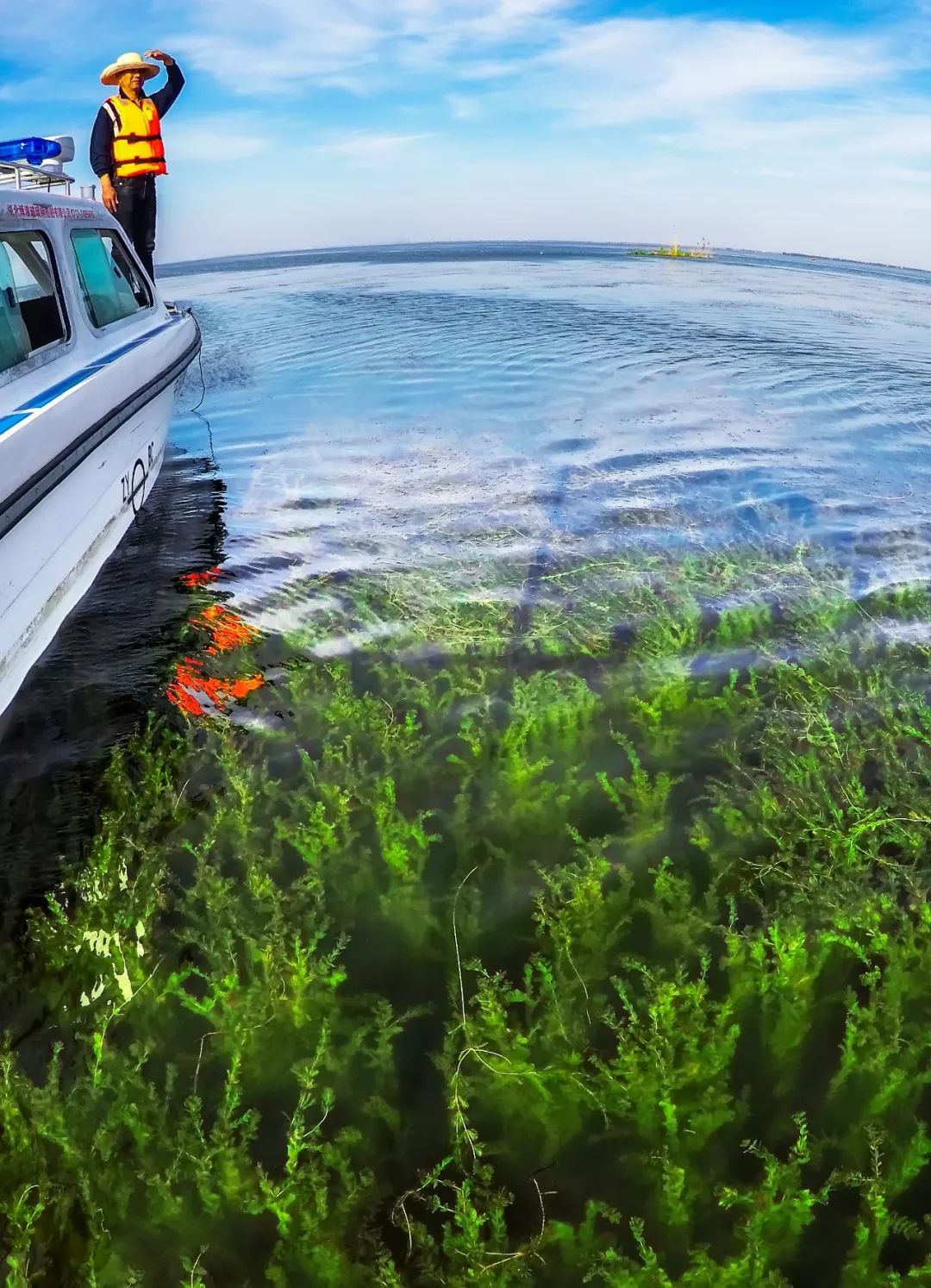 【大美荆州】洪湖，不仅有浪打浪，还有湿地风光和湖鲜全宴！