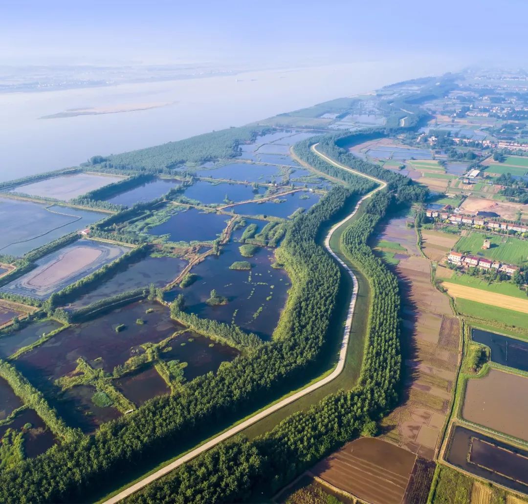 【大美荆州】洪湖，不仅有浪打浪，还有湿地风光和湖鲜全宴！