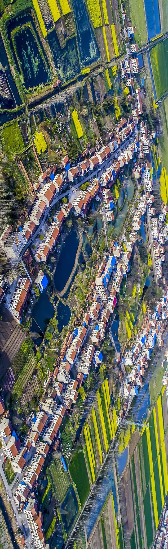 【大美荆州】洪湖，不仅有浪打浪，还有湿地风光和湖鲜全宴！