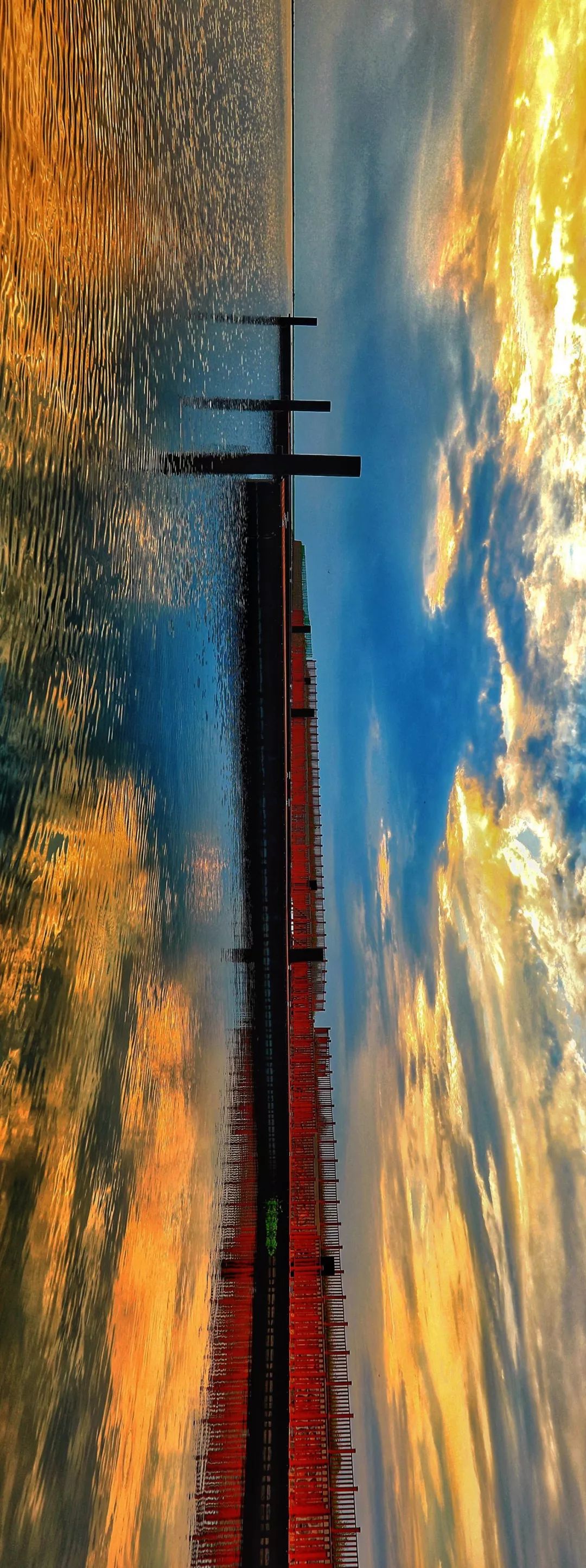 【大美荆州】洪湖，不仅有浪打浪，还有湿地风光和湖鲜全宴！