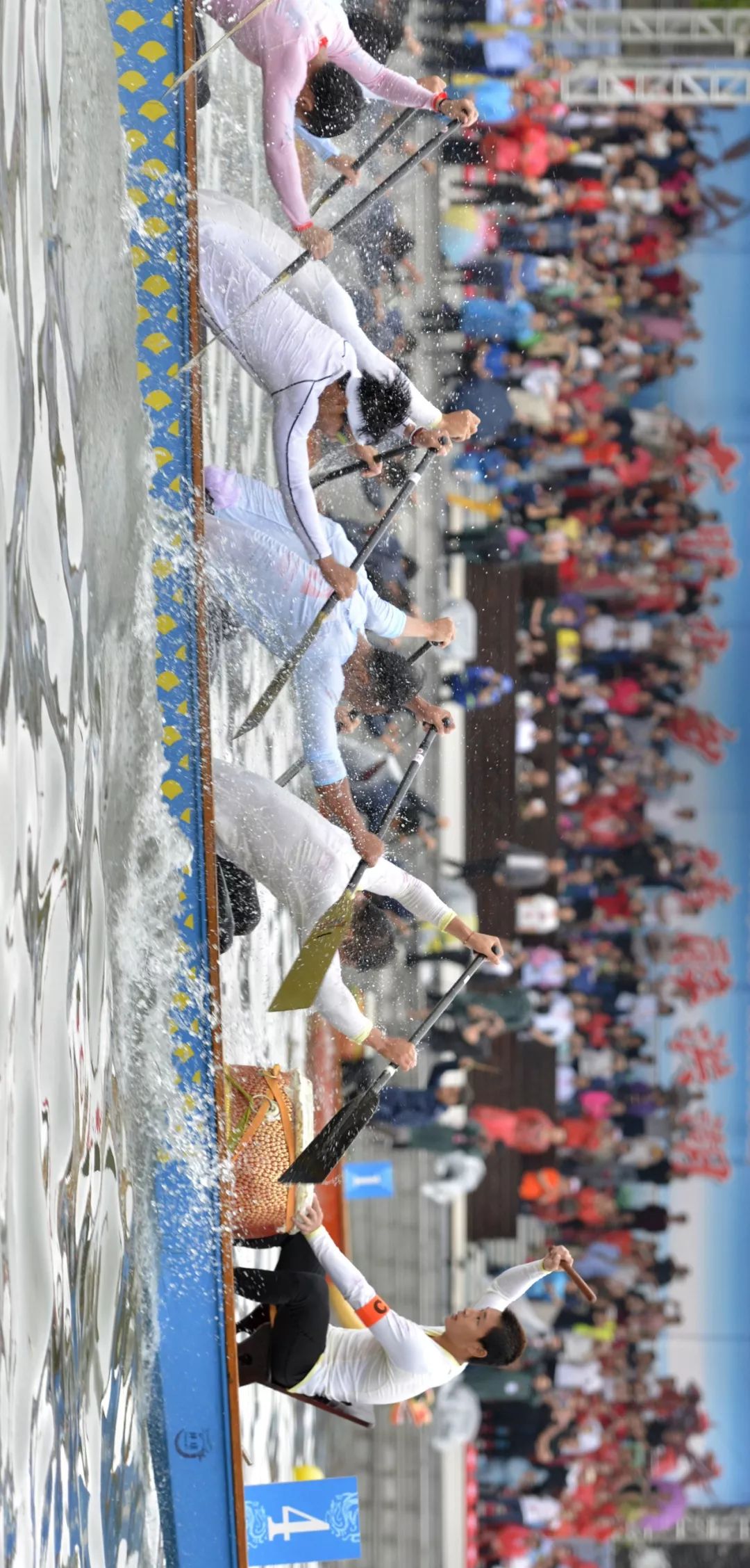 【大美荆州】洪湖，不仅有浪打浪，还有湿地风光和湖鲜全宴！