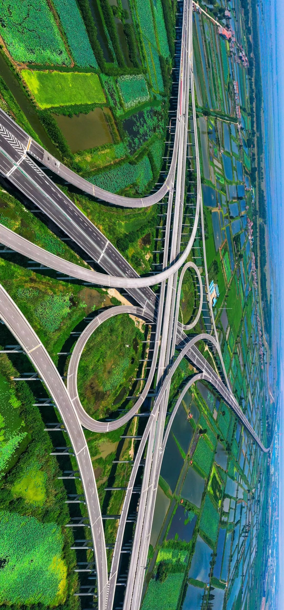 【大美荆州】洪湖，不仅有浪打浪，还有湿地风光和湖鲜全宴！