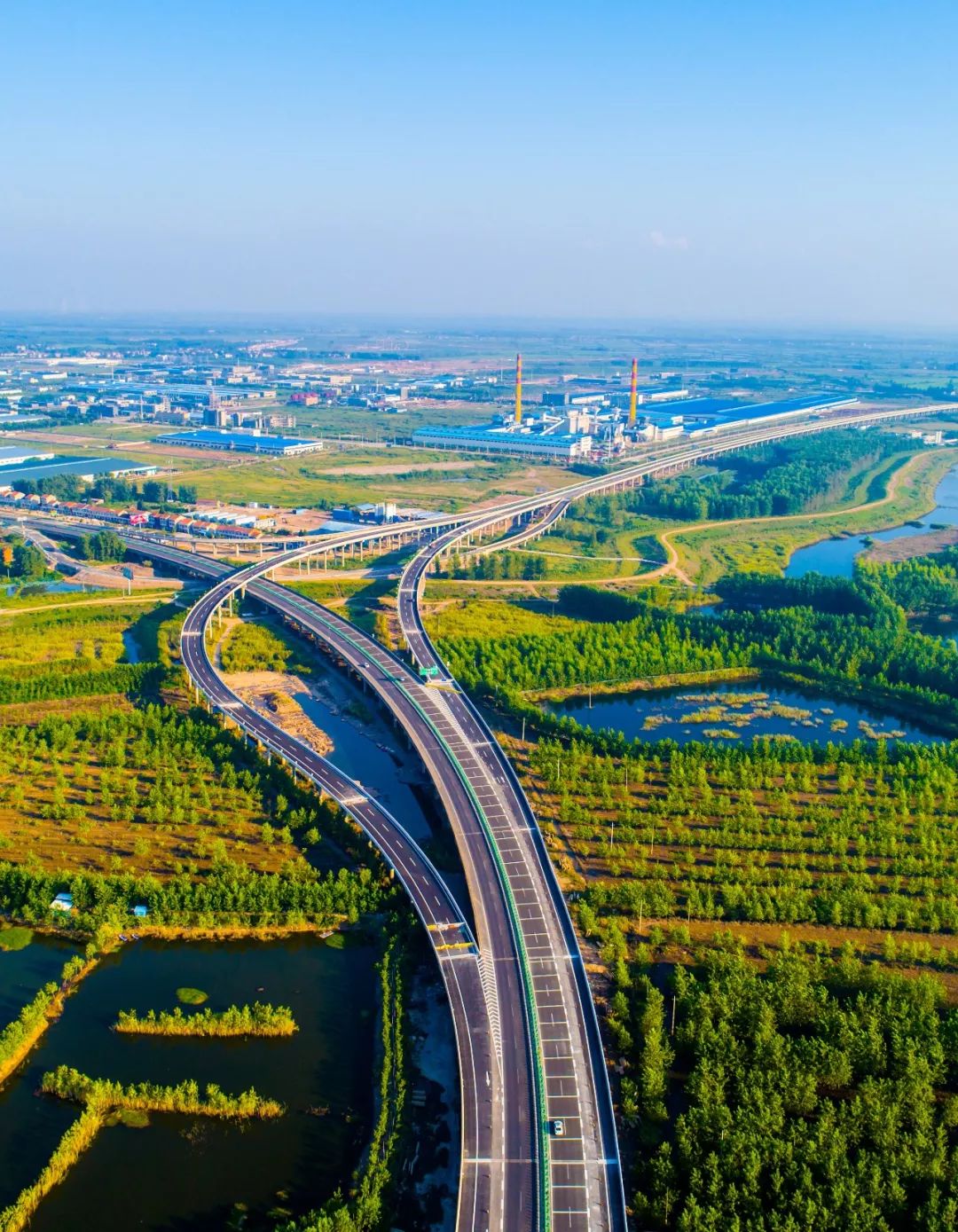 【大美荆州】洪湖，不仅有浪打浪，还有湿地风光和湖鲜全宴！