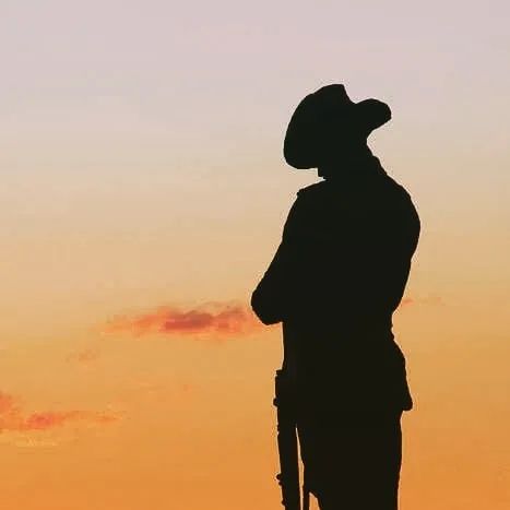 “终极射击平台”让栓动步枪更精准，多步枪兼容澳洲南的十字TSP-X「升级栓动步枪」