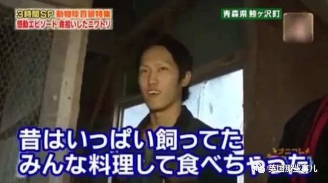 大爷养鸡为吃肉，但却不忍杀鸡。这背后秘密，莫名奇妙可爱