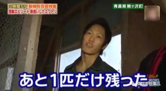 大爷养鸡为吃肉，但却不忍杀鸡。这背后秘密，莫名奇妙可爱