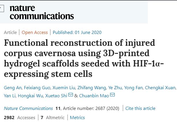 世界首例|男性的福音!3D打印水凝胶成功修复生殖器缺损,让试验兔成功交配并产子