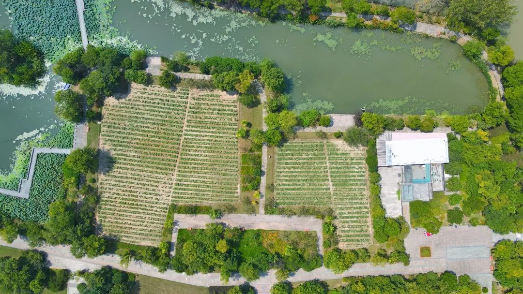 Whoopee!快来晒“太阳”~