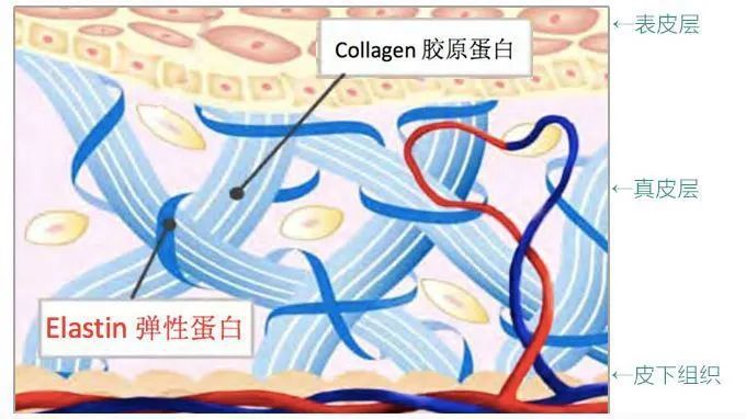 小茂面霜怎么样,小茂最好用的护肤品