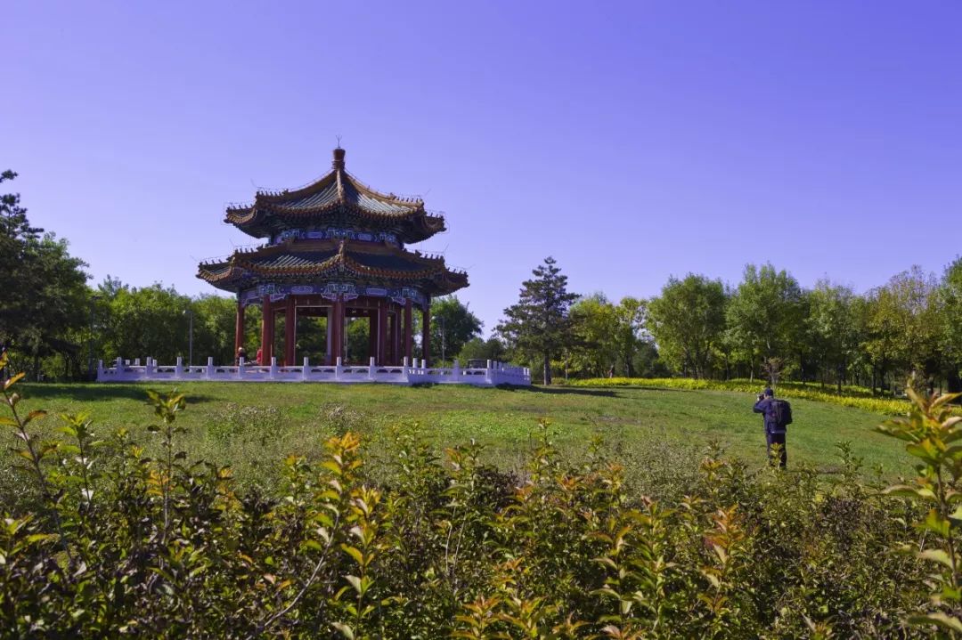 推荐一个假期亲子出游的好地方,北京亦庄周末去哪儿玩