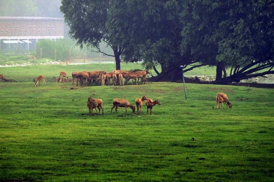 推荐一个假期亲子出游的好地方,北京亦庄周末去哪儿玩