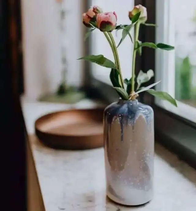 女性常见的几种疾病诊断书,专门讲女性疾病通俗易懂的书籍