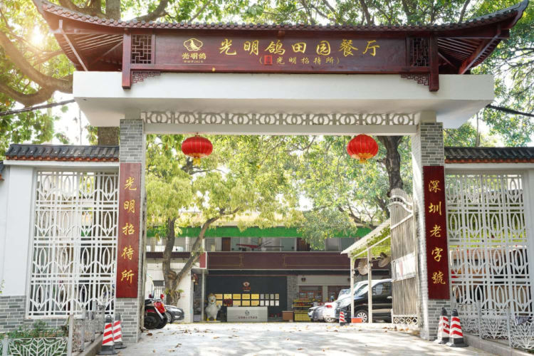 光明乳鸽深圳三大名吃,深圳市光明区光明乳鸽