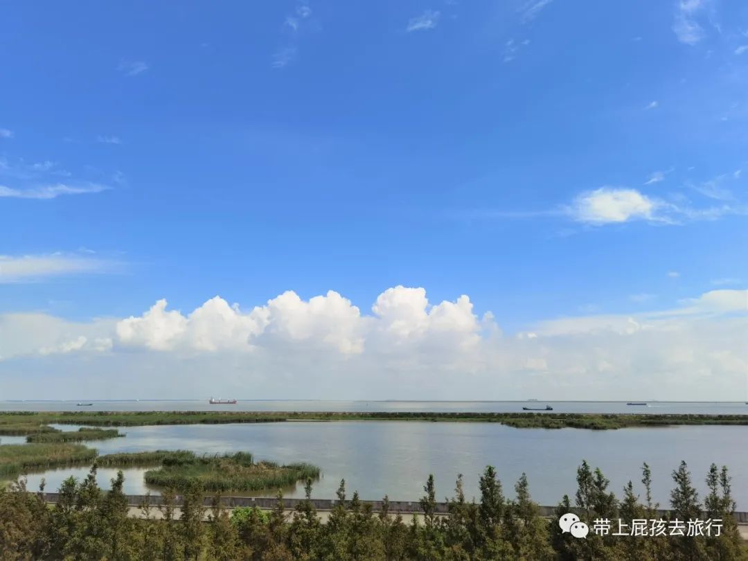 听说没解禁的你们在等上海大促，大波的酒店美食，这就来了