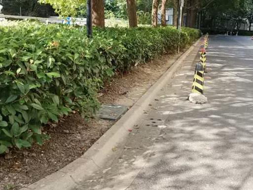 莘庄镇生活日记——创全“莘”声|最“莘”面貌已解锁,快来看看身边改变