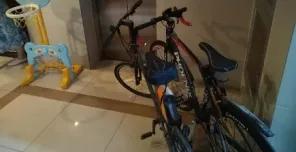 莘庄镇生活日记——创全“莘”声|最“莘”面貌已解锁,快来看看身边改变