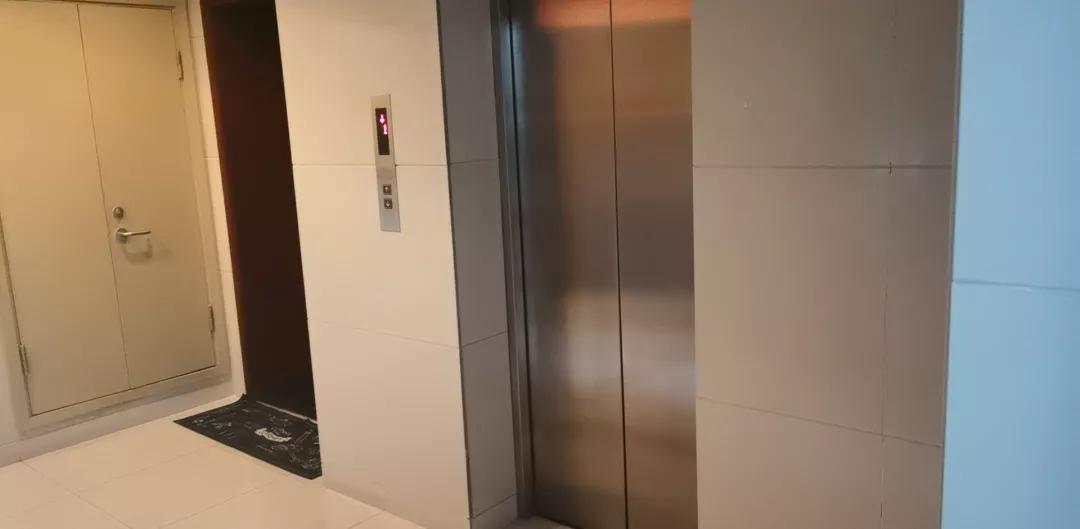 莘庄镇生活日记——创全“莘”声|最“莘”面貌已解锁,快来看看身边改变