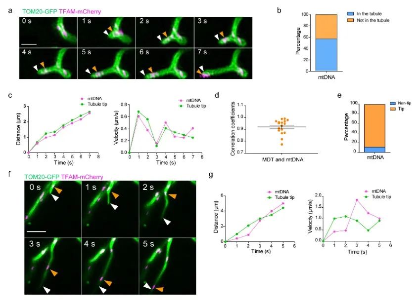 北京大学领导干部大会,北京大学校长大会演讲