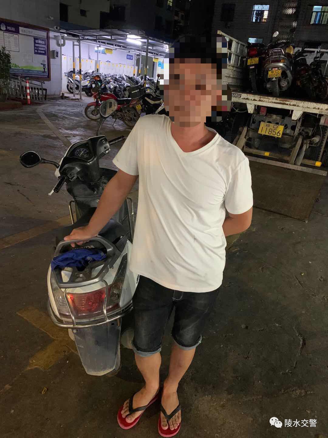 陵水公安交警再曝光酒驾,醉猫被查获