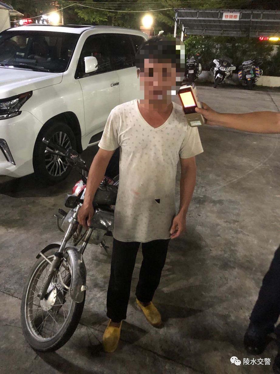 陵水公安交警再曝光酒驾,醉猫被查获
