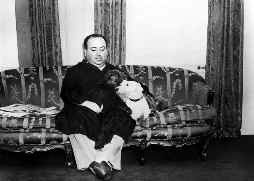 这个男导演，每天都在PUA他的女演员