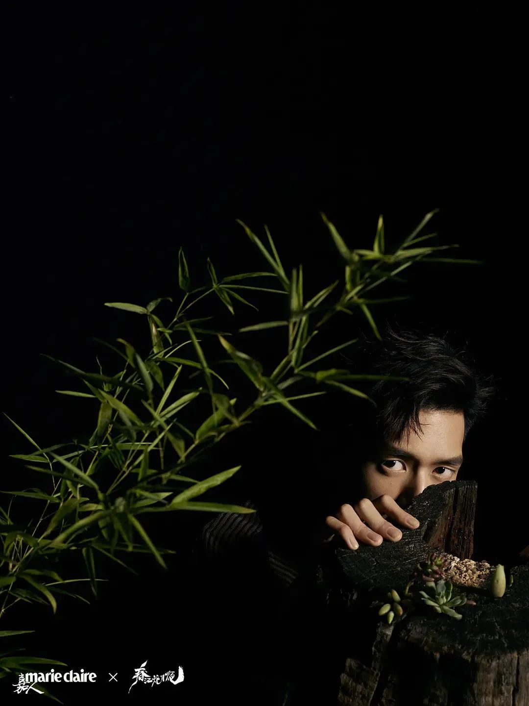 两位流量的相遇，这一次不是“相杀”