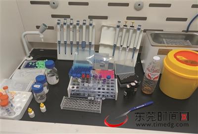 广东康怡毒检中心,康怡博睿毒检中心好不好