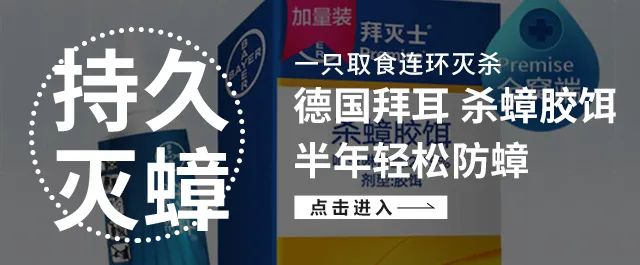 让蟑螂来一只死一窝的方法,蟑螂克星蟑螂窝