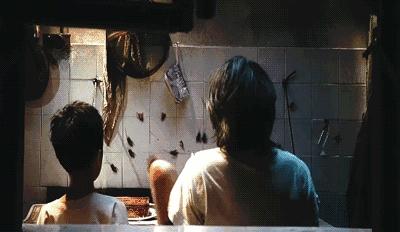 让蟑螂来一只死一窝的方法,蟑螂克星蟑螂窝