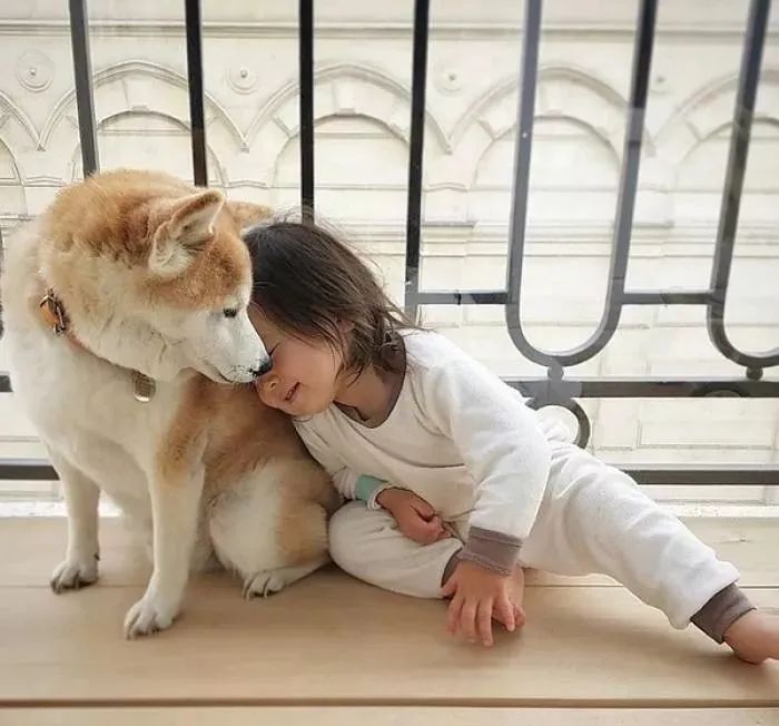 让蟑螂来一只死一窝的方法,蟑螂克星蟑螂窝