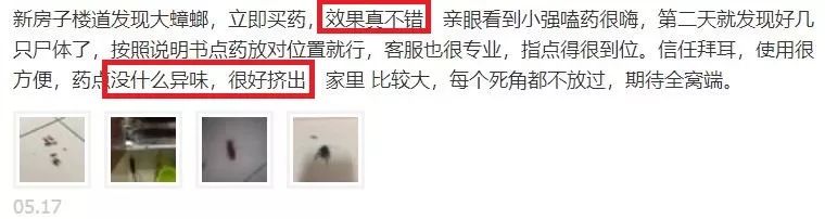 让蟑螂来一只死一窝的方法,蟑螂克星蟑螂窝