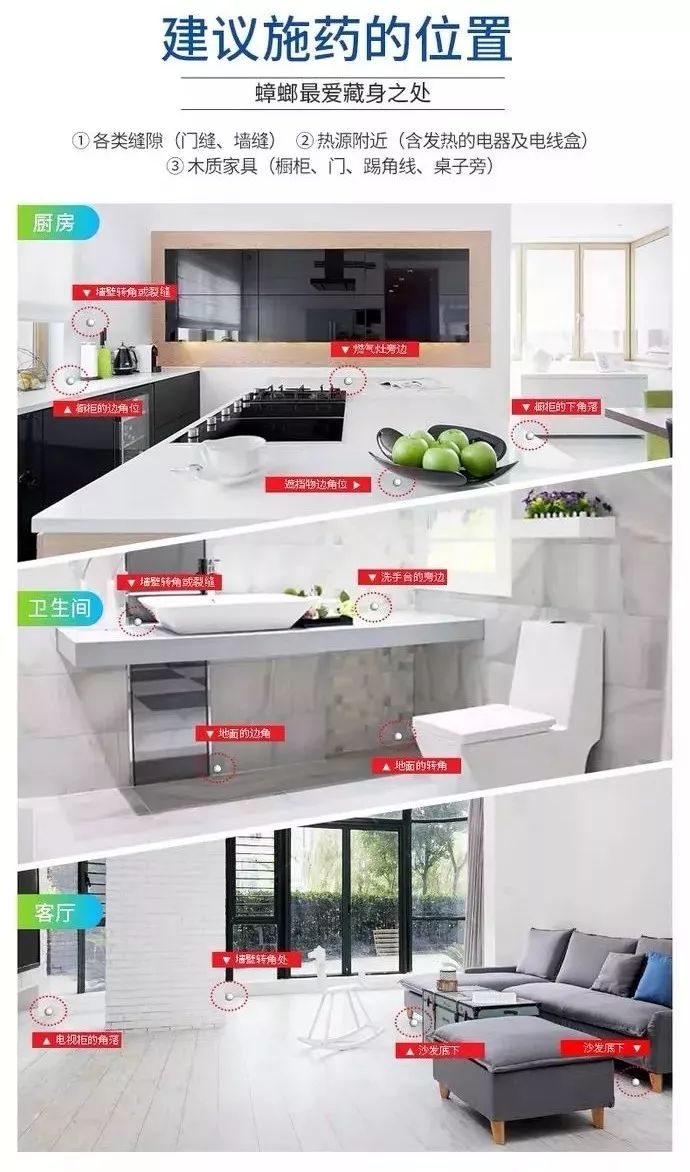 让蟑螂来一只死一窝的方法,蟑螂克星蟑螂窝