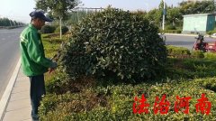 龙亭区人民法院地址,开封城乡一体示范区人民法院