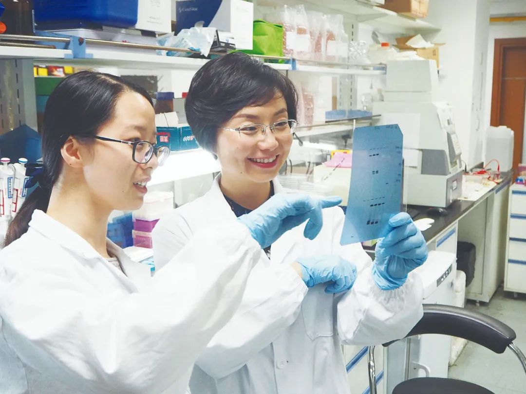 从生命的“隐秘角落”出发｜重点实验室巡礼