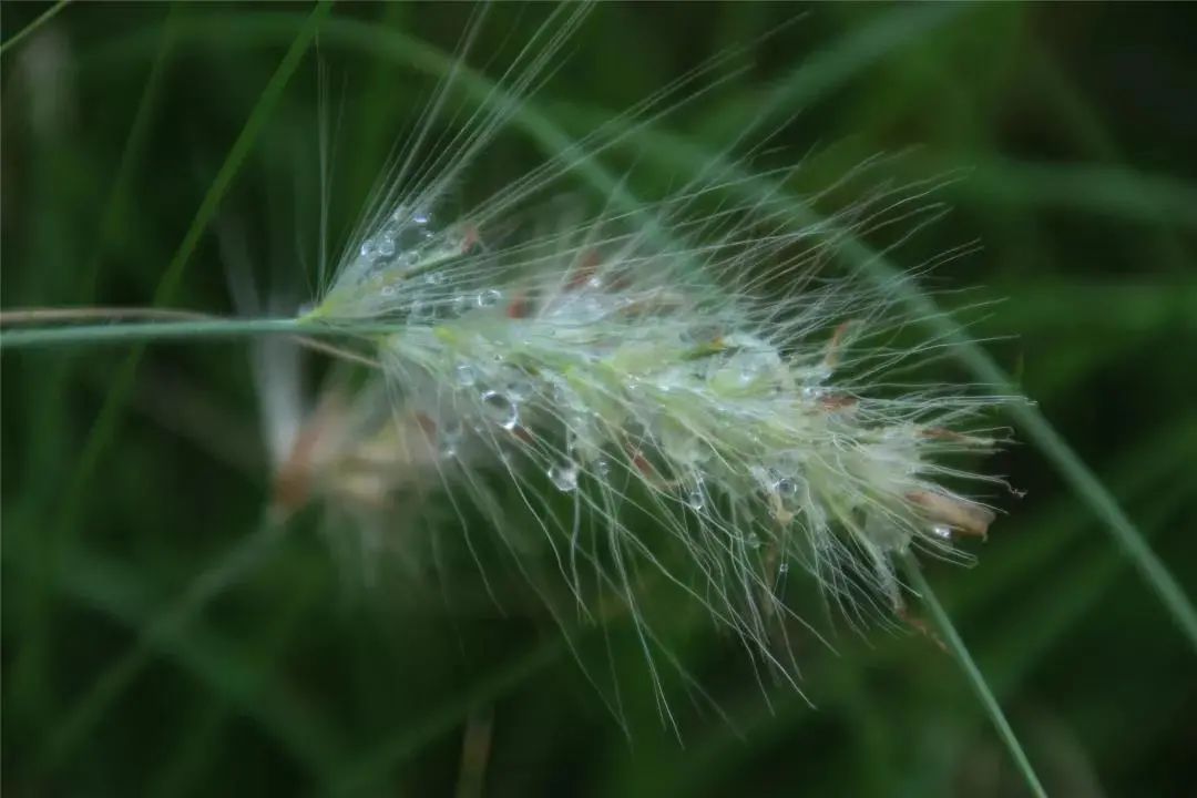 七彩西昌夜景美图,七彩西昌全景图