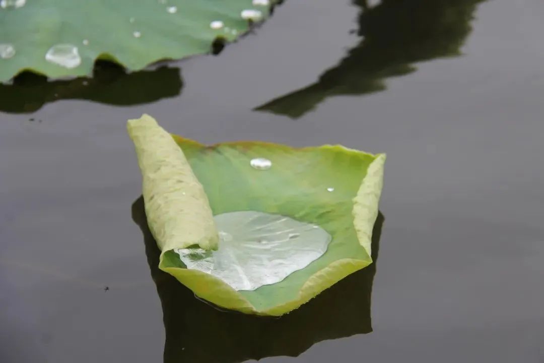 七彩西昌夜景美图,七彩西昌全景图