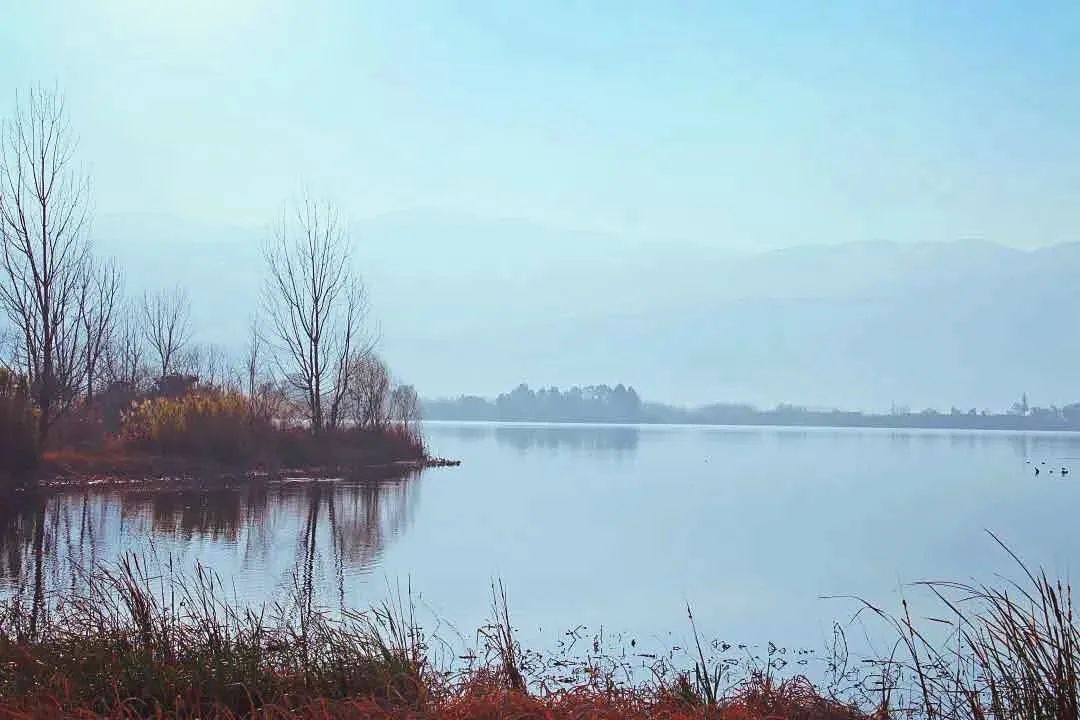 七彩西昌夜景美图,七彩西昌全景图