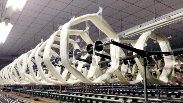 真丝为啥不流行了,真丝为什么有的价位便宜