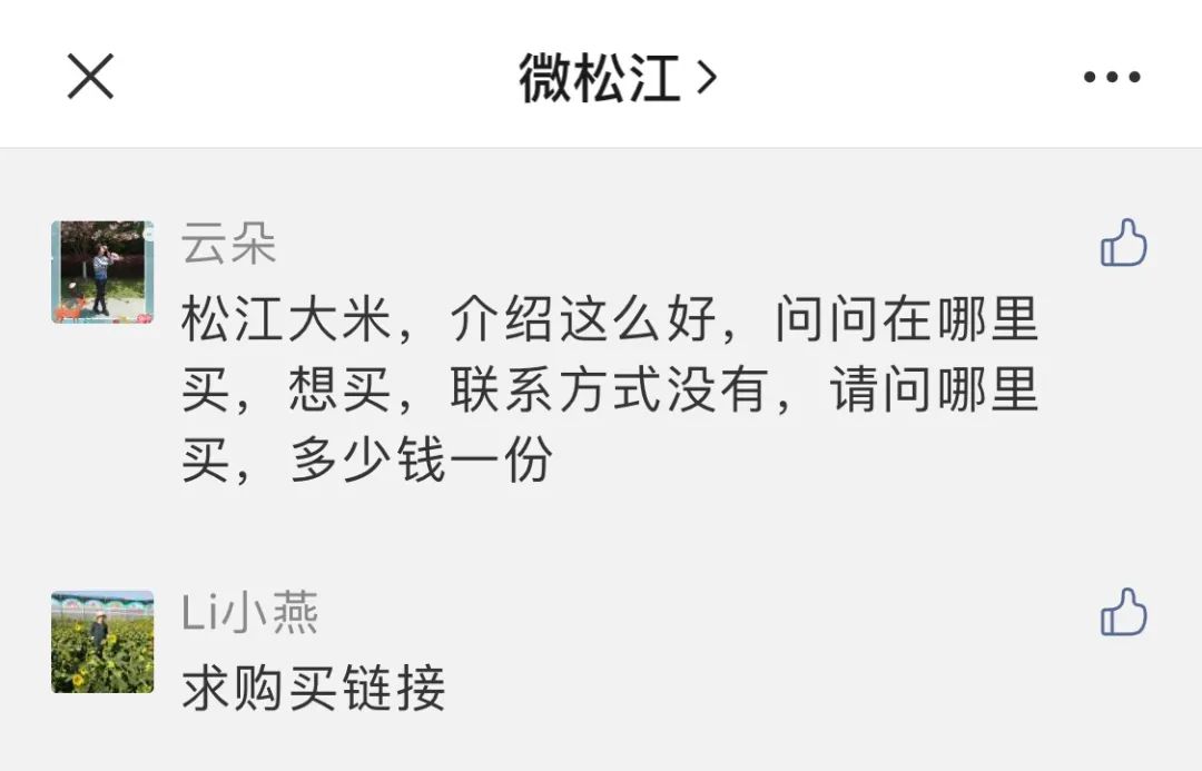 松江大米什么地方可买到,松江大米哪里买最好