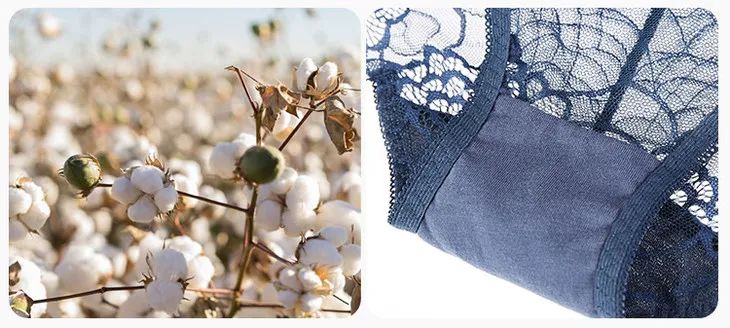 这条优雅精致、凉爽如风的蕾丝*裤内**,是你藏不住的女人味