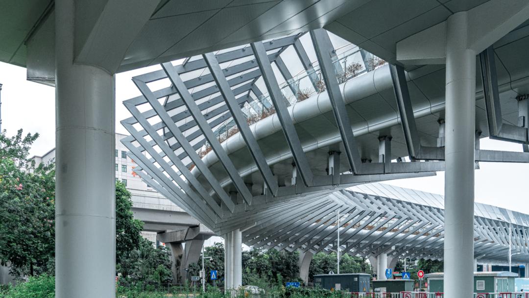 龙岗中心城park,live龙岗中心城