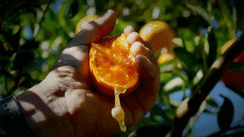 多多维a美白精华,多多补充维c