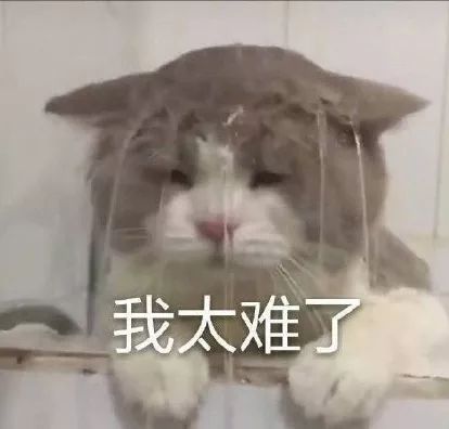 孩子半夜哭闹妈妈特别生气,孩子哭闹晚上扰民