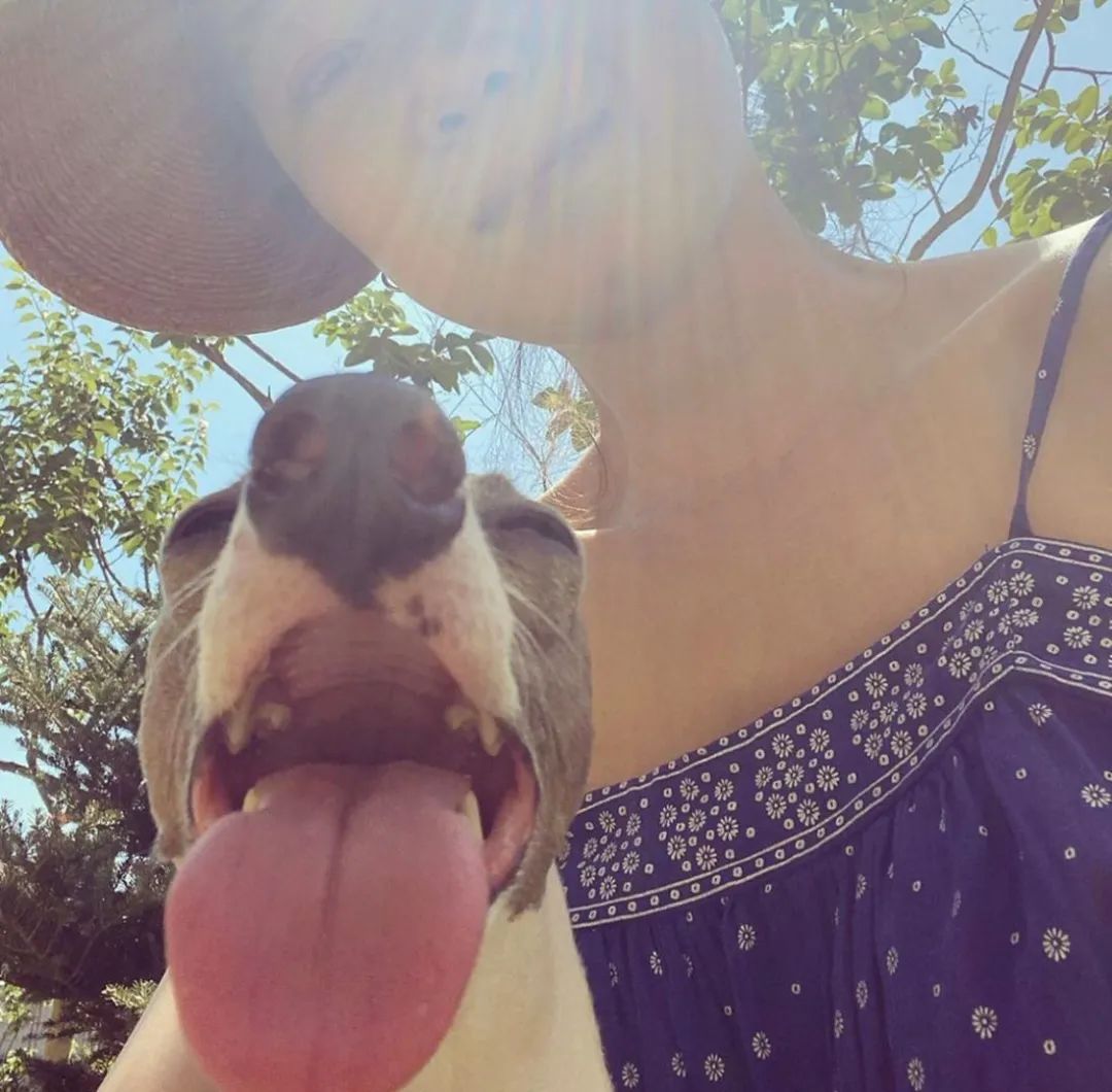 孔孝真二十岁,孔孝真私服穿搭简约时尚又高级