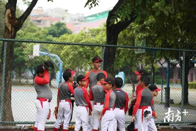 岑村小学棒球队,岑村小学棒球