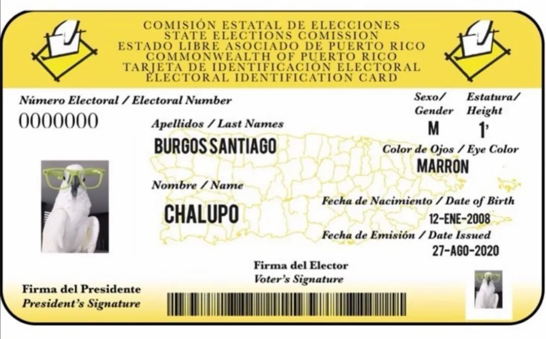 沙雕萌宠集合地,沙雕又可爱的萌宠